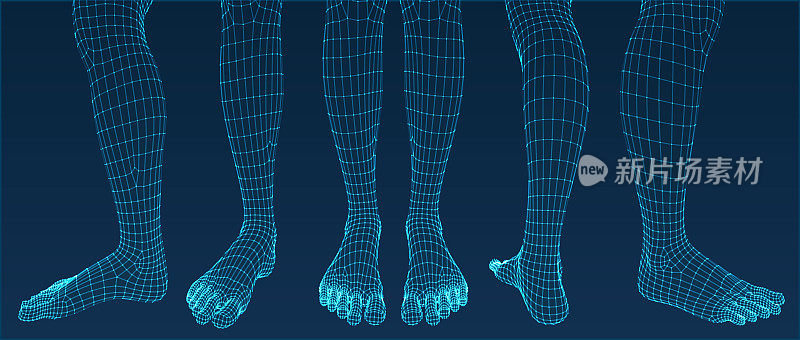 三维的脚。集。Ware mesh从3d应用程序。